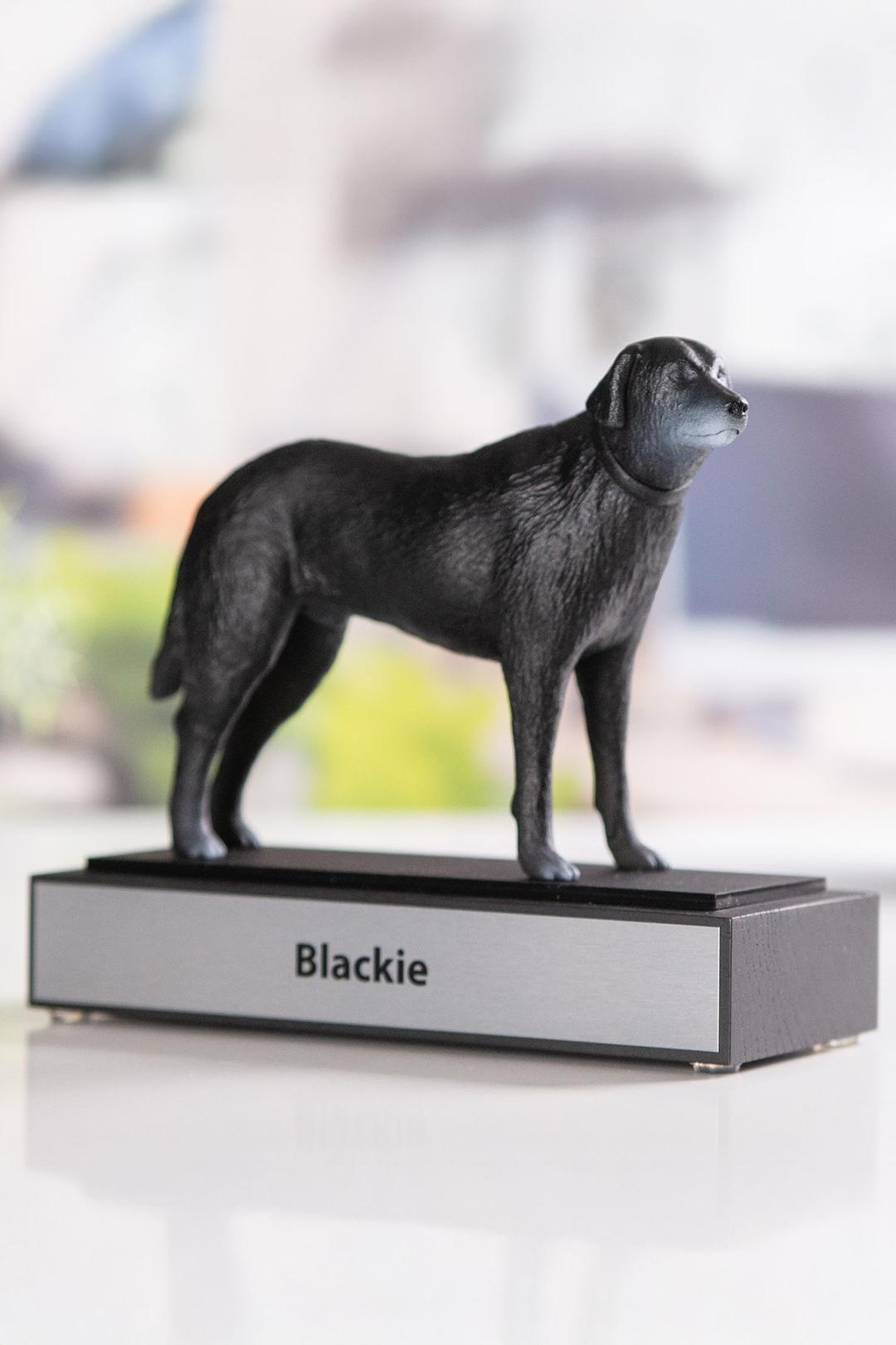 3D Award -  D3D007