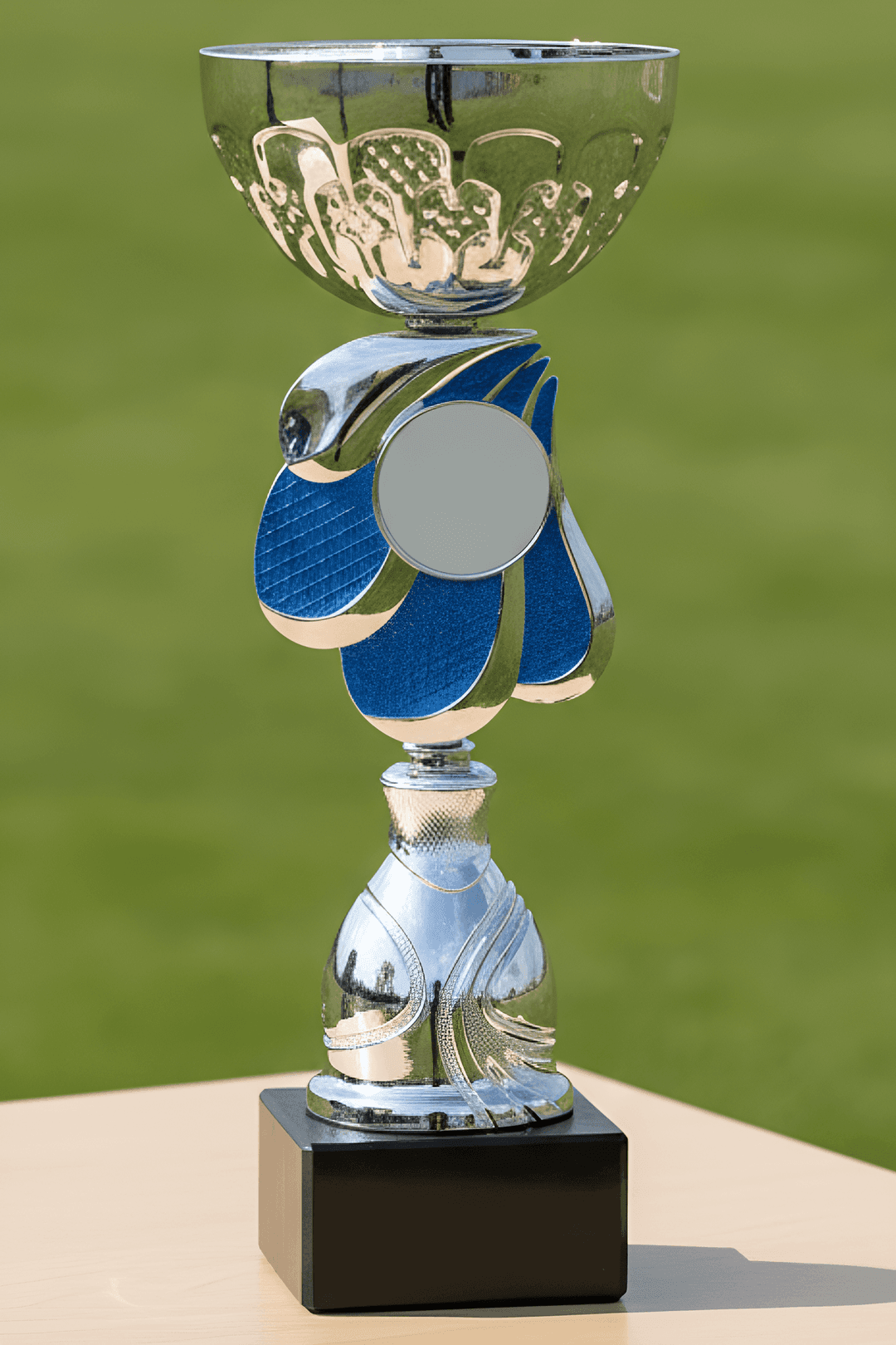 Puchar - CUP486
