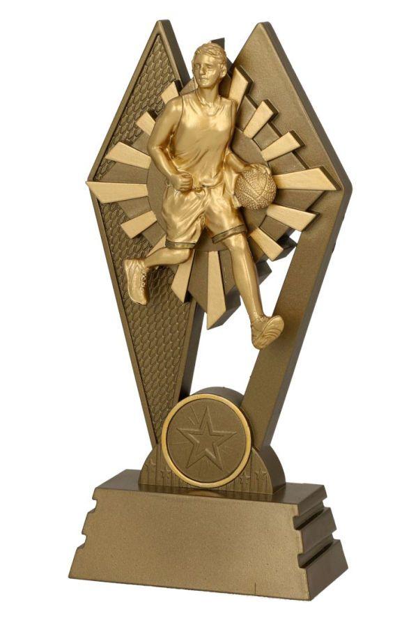 Resin award -  RES085