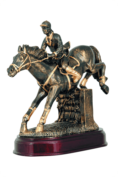 Resin award -  RES138