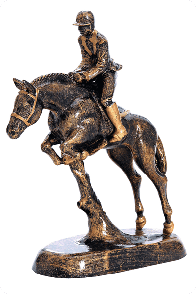 Resin award -  RES147
